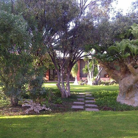 Вилла Buschberg Guest Farm Оучо Экстерьер фото